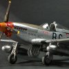 P-51D Mustang 1/48 [Stratocaster]